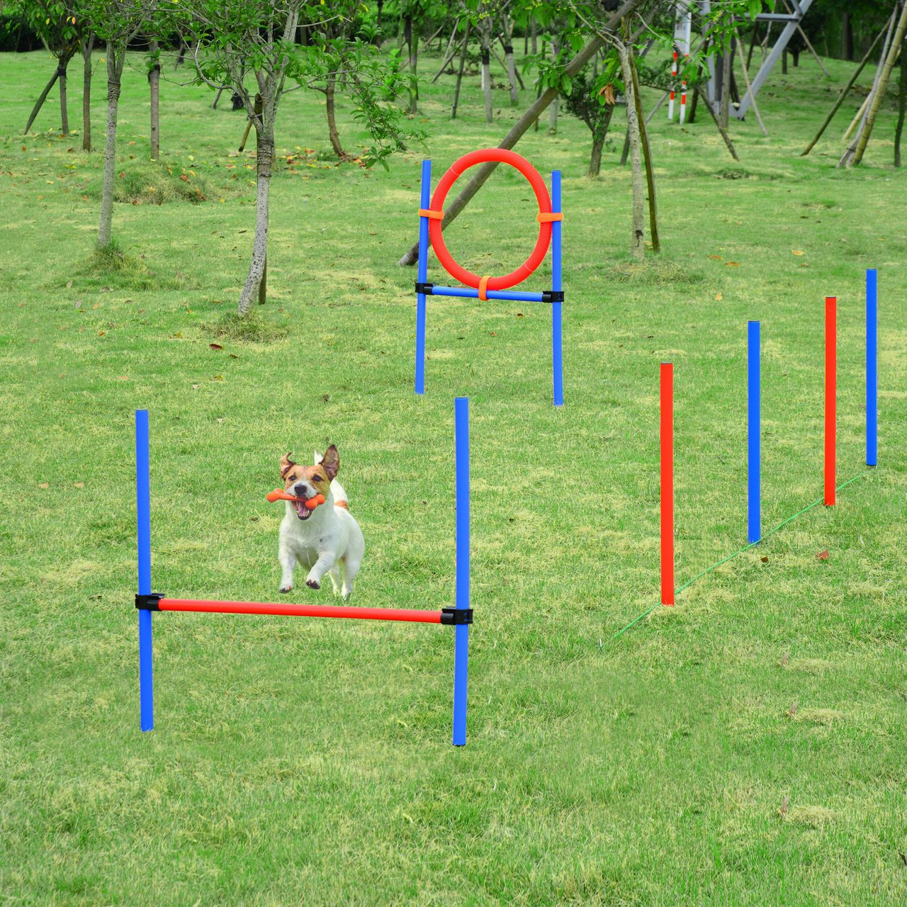 PawHut Agility-Übungs-Set Slalom-Hürden-Sprungring 3 in 1 Hundesport Trainingsplatz PE Blau Rot