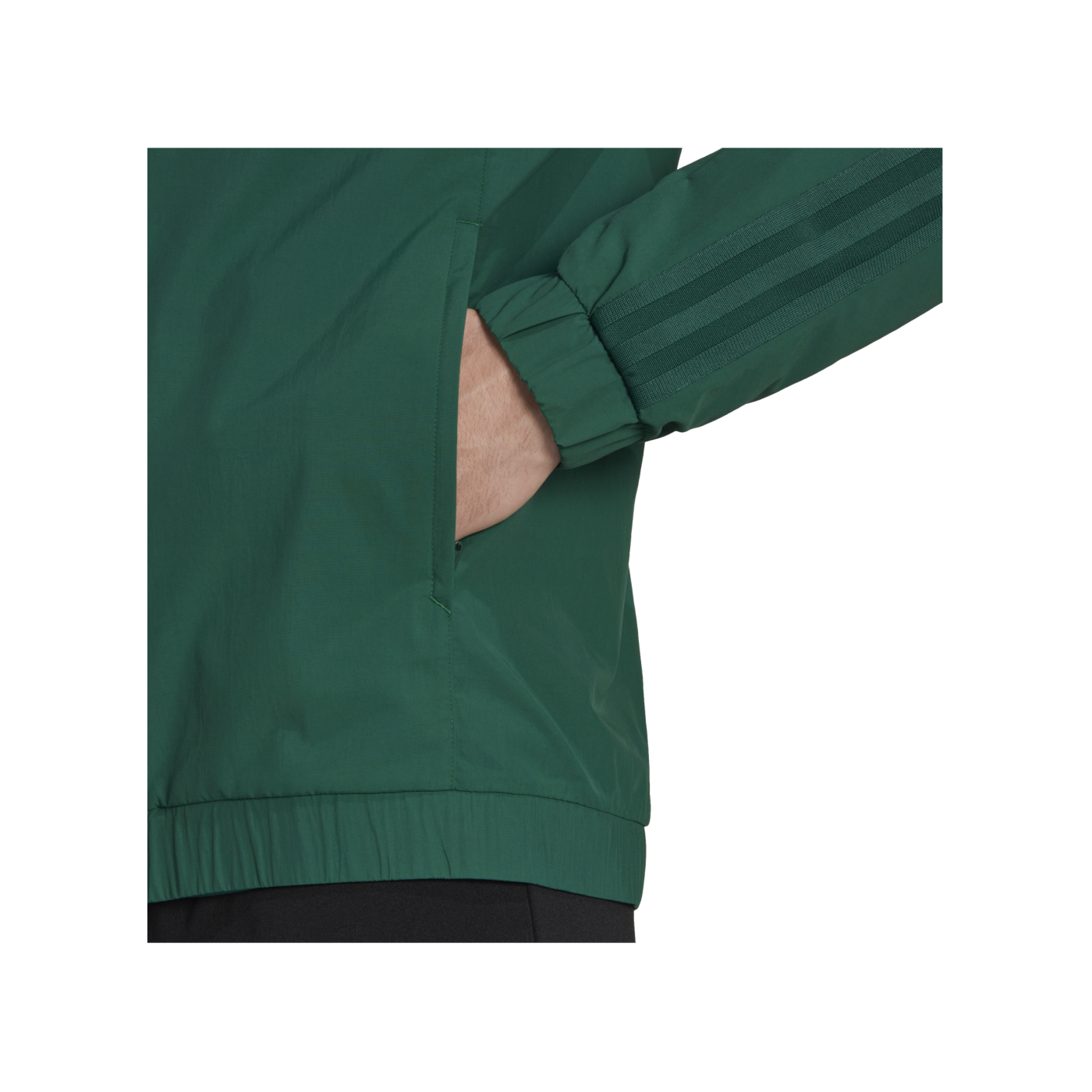 adidas Tiro 23 Competition Präsentationsjacke Grün