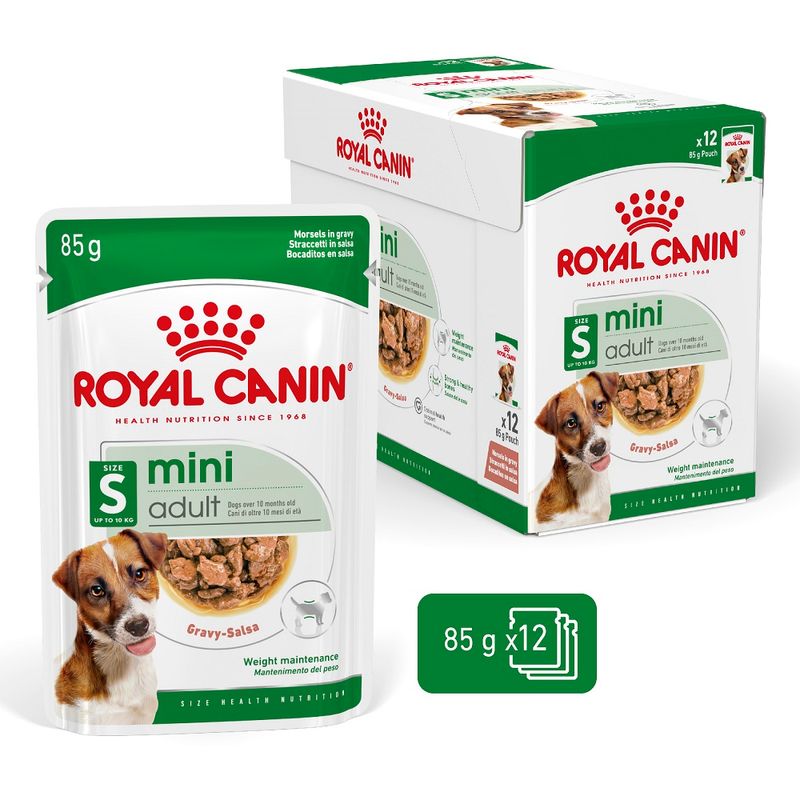 Royal Canin Mini Adult  in Soße