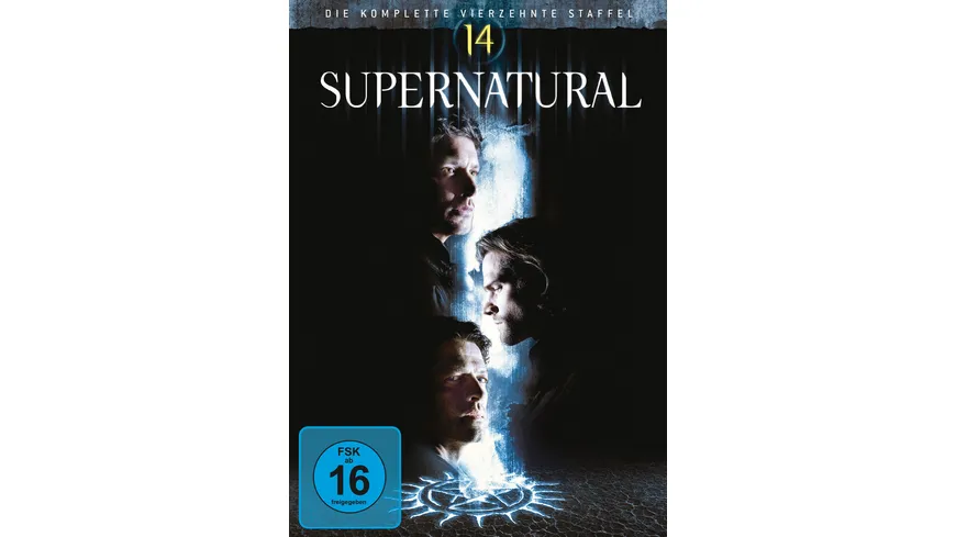 Supernatural: Staffel 14  [5 DVDs]