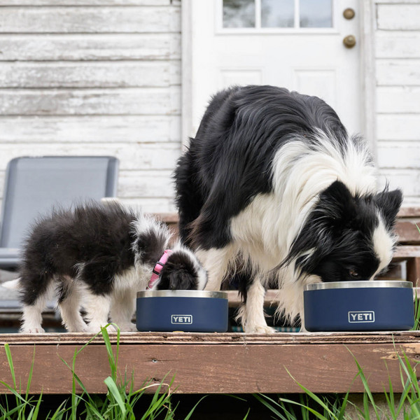 BOOMER 8 DOG BOWL - Hundezubehör