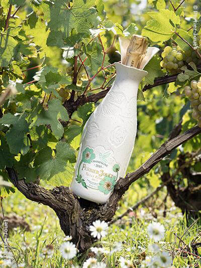 Perrier-Jouët : Belle Epoque Cocoon Édition Limitée Fernando Laposse 2015
