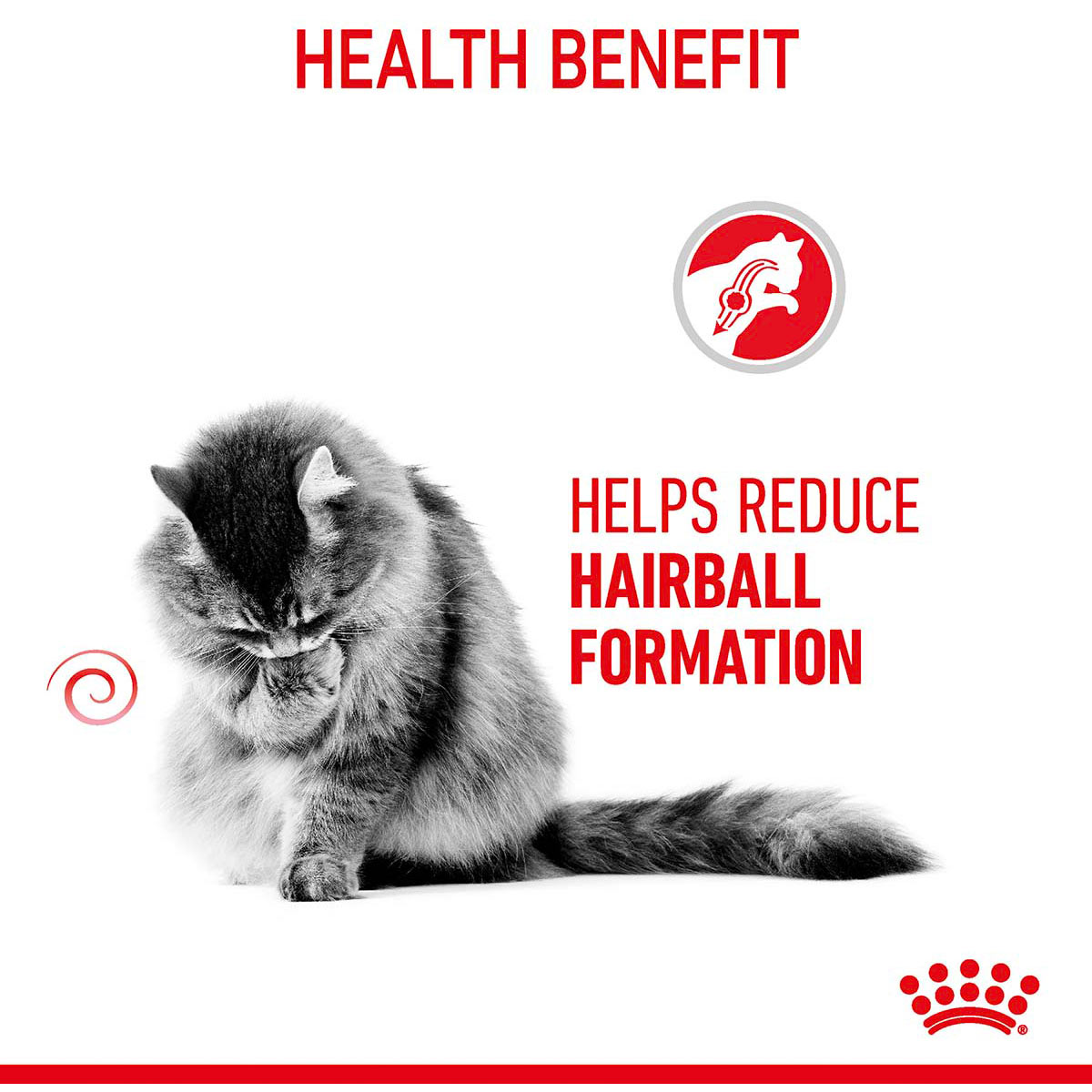 Royal Canin FCN Hairball Care Gravy günstig kaufen