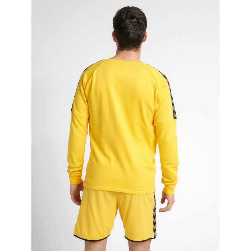 hummel hmlAUTHENTIC TRAINING SWEAT Sweatshirt Herren