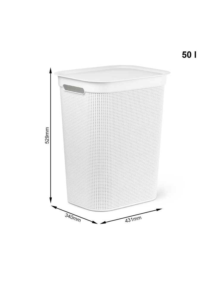 Rotho Brisen Wäschebox 50l mit Deckel und Griffe in Weiß günstig kaufen onesize