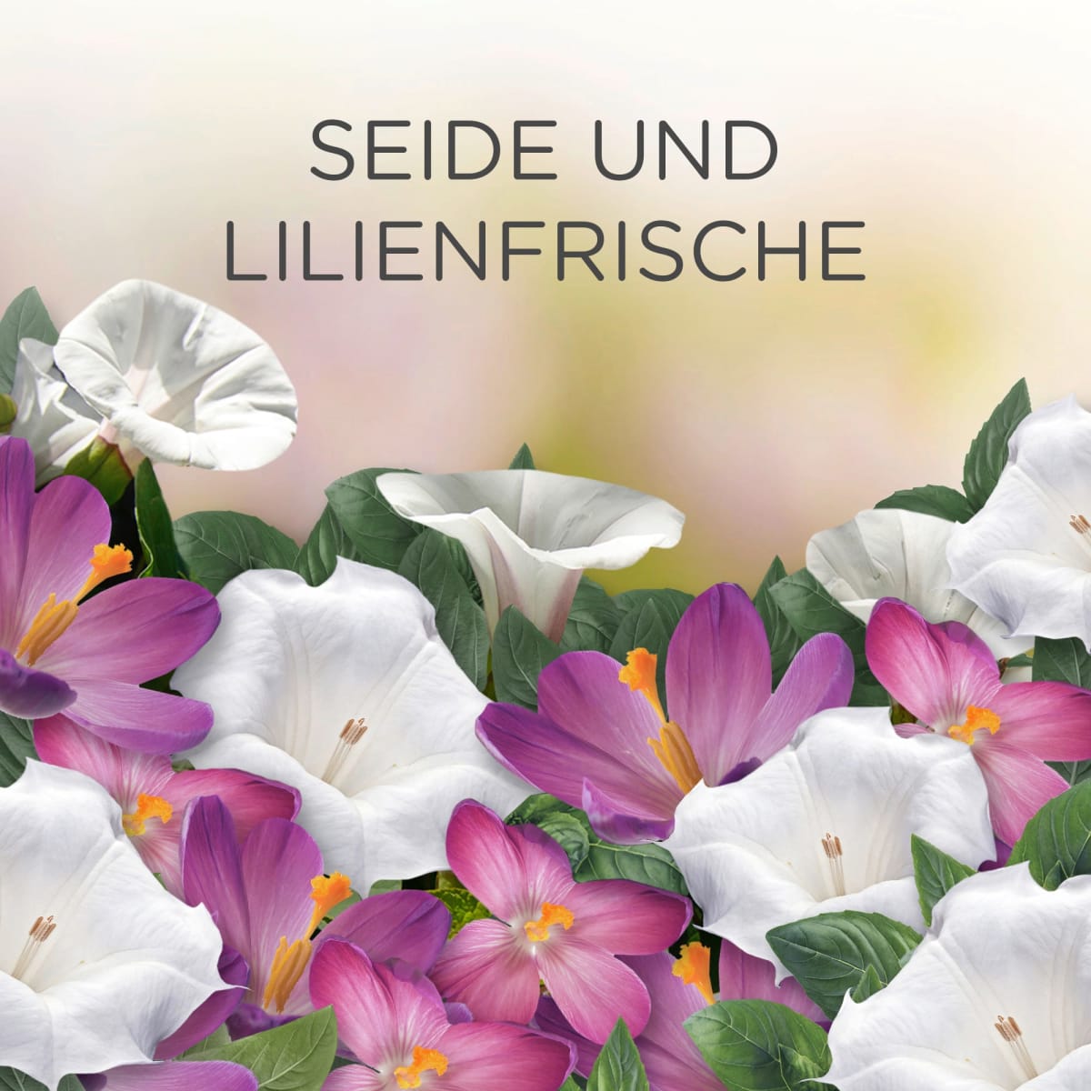 Lufterfrischer Duftstecker Seide & Lilienfrische Nachfüllpack, 19 ml