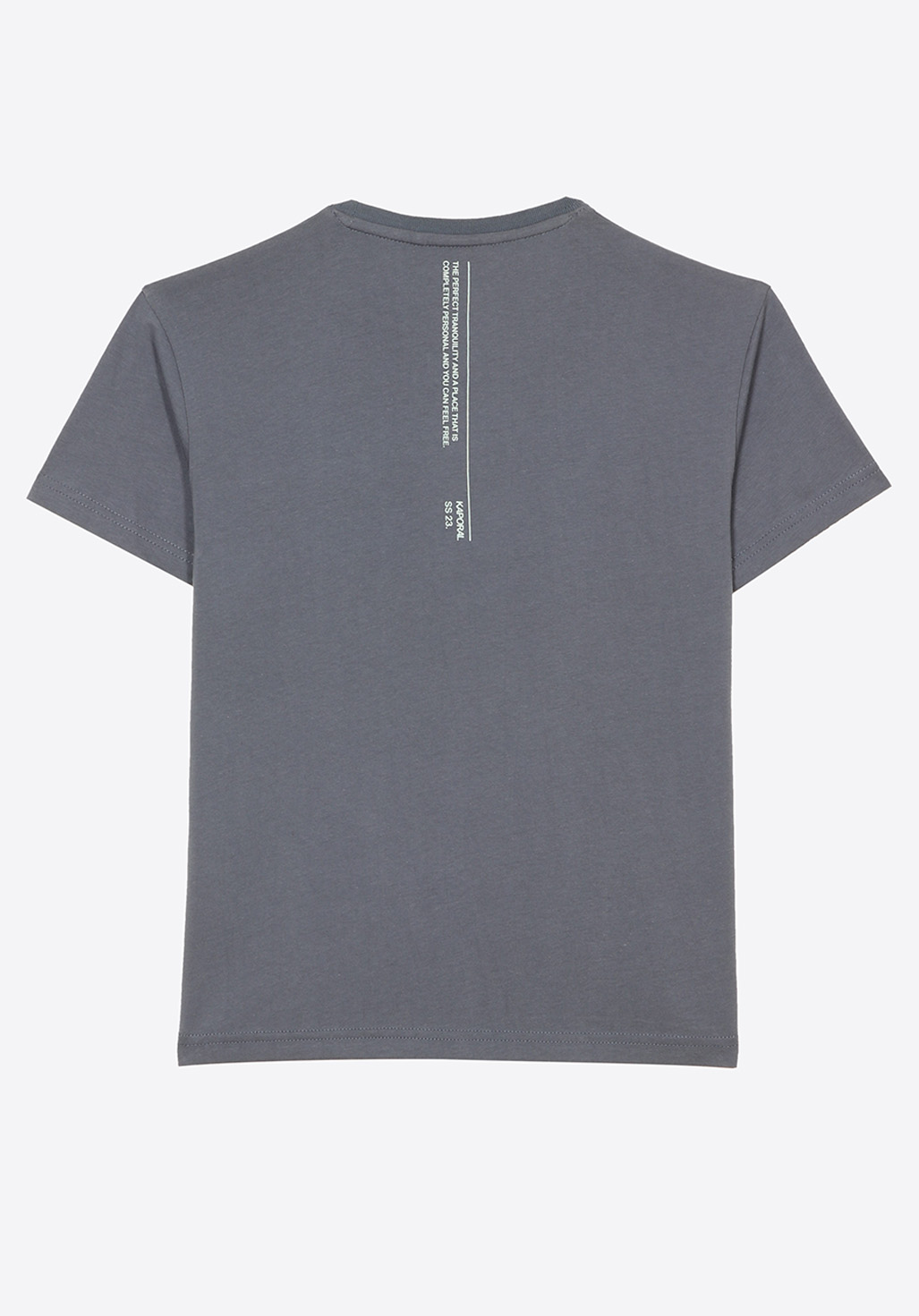 PIRGO  T-shirt bleu gris Garçon en 100% coton