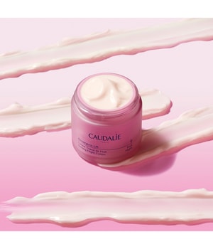 CAUDALIE Resveratrol-Lift Kräuter-Nachtcreme Refill Nachtcreme-50 ml