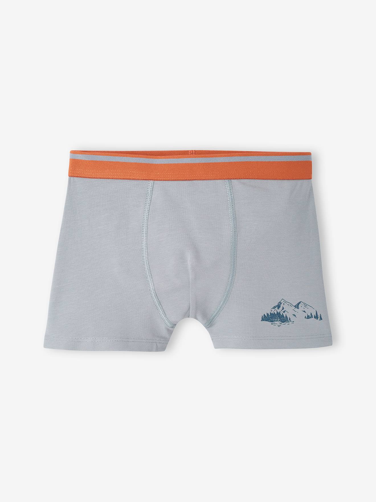 Lot de 5 boxers stretch Yéti garçon bleu grisé