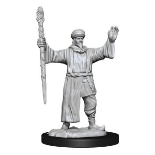 D&D Nolzur's Marvelous Miniatures - Human Wizard Male