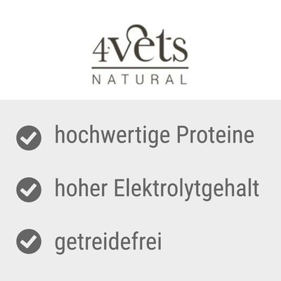 4Vets Natural Hund Gastro Intestinal 400 g