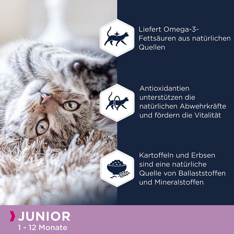Eukanuba Kitten Grain Free Reich an Lachs