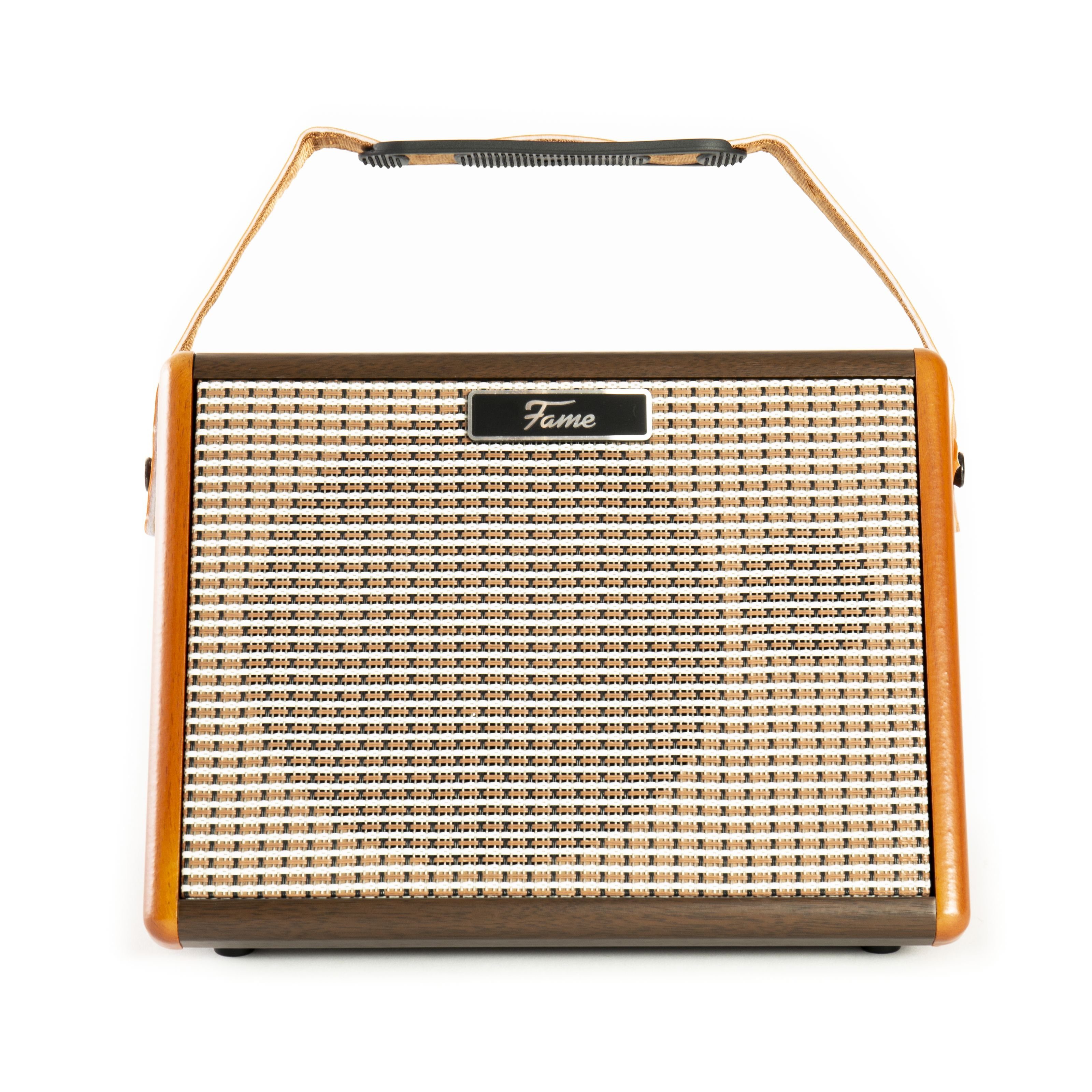 FAME Verstärker (AG-26A Akustikgitarrenverstärker, integrierter Akku, 2 separat regelb)