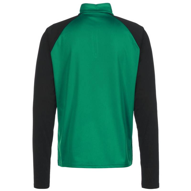 PUMA TeamLIGA 1/4 Zip Funktionssweatshirt Herren