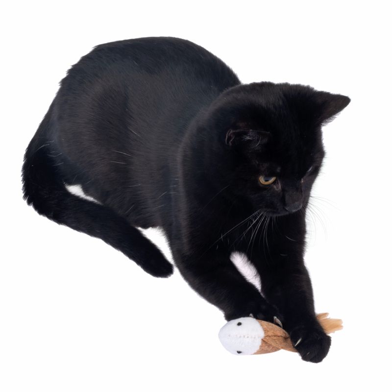 TIAKI Katzenspielzeug Kork-Fisch mit Katzenminze