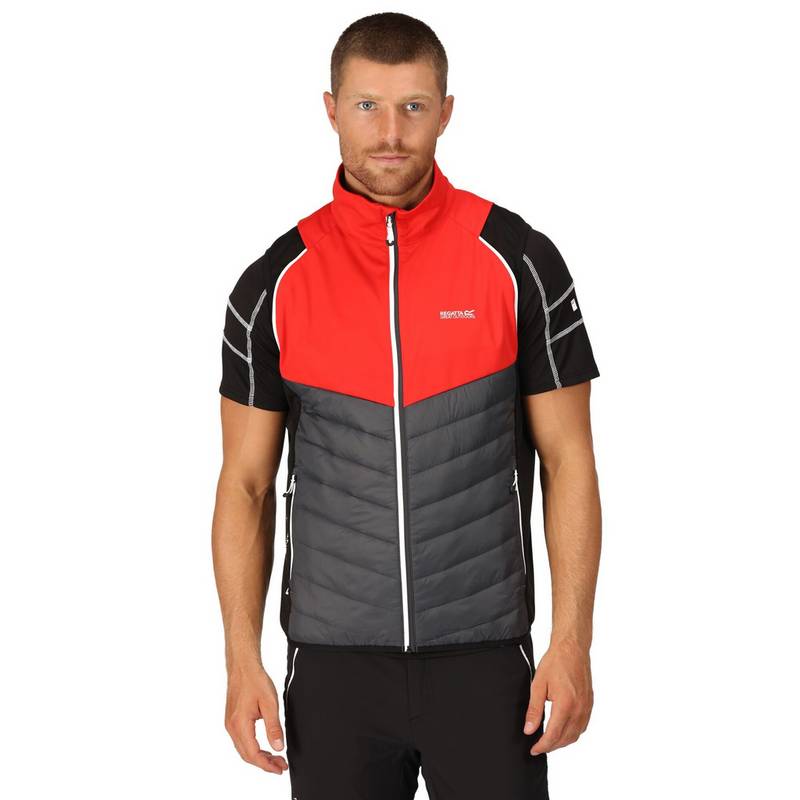 Regatta Steren Funktionsjacke Herren