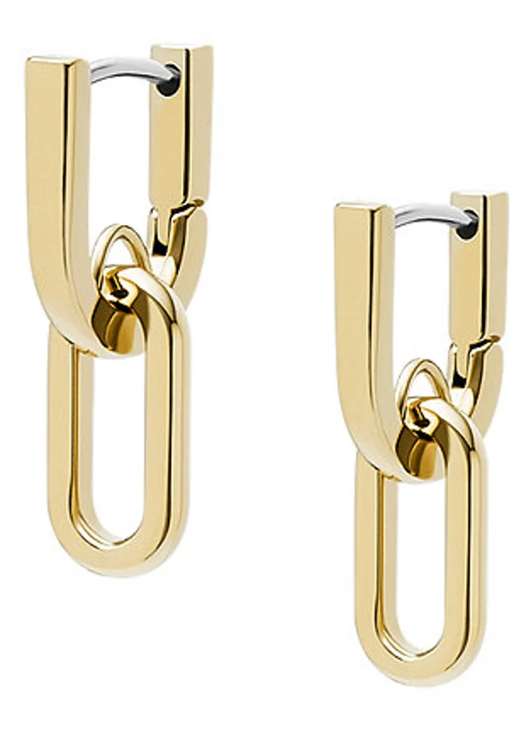 Fossil Heritage earrings JF04780710