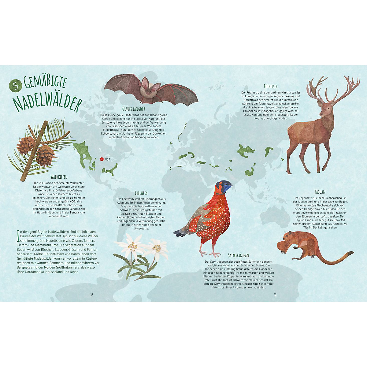 Biome der Welt