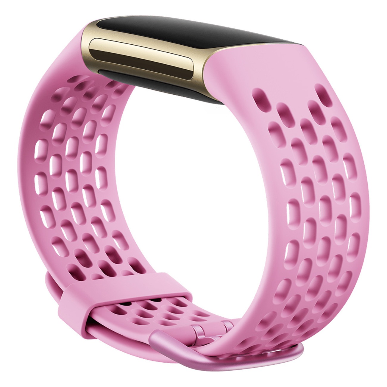 Charge 5 Sport Band L. Armband