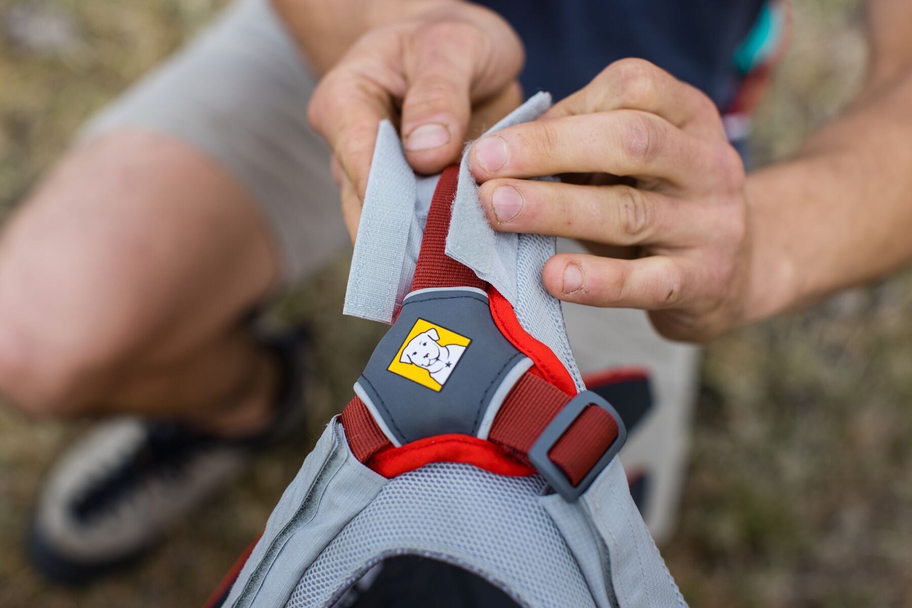 Ruffwear Hundegeschirre Ruffwear Swamp Cooler Core™ Geschirrzubehör S