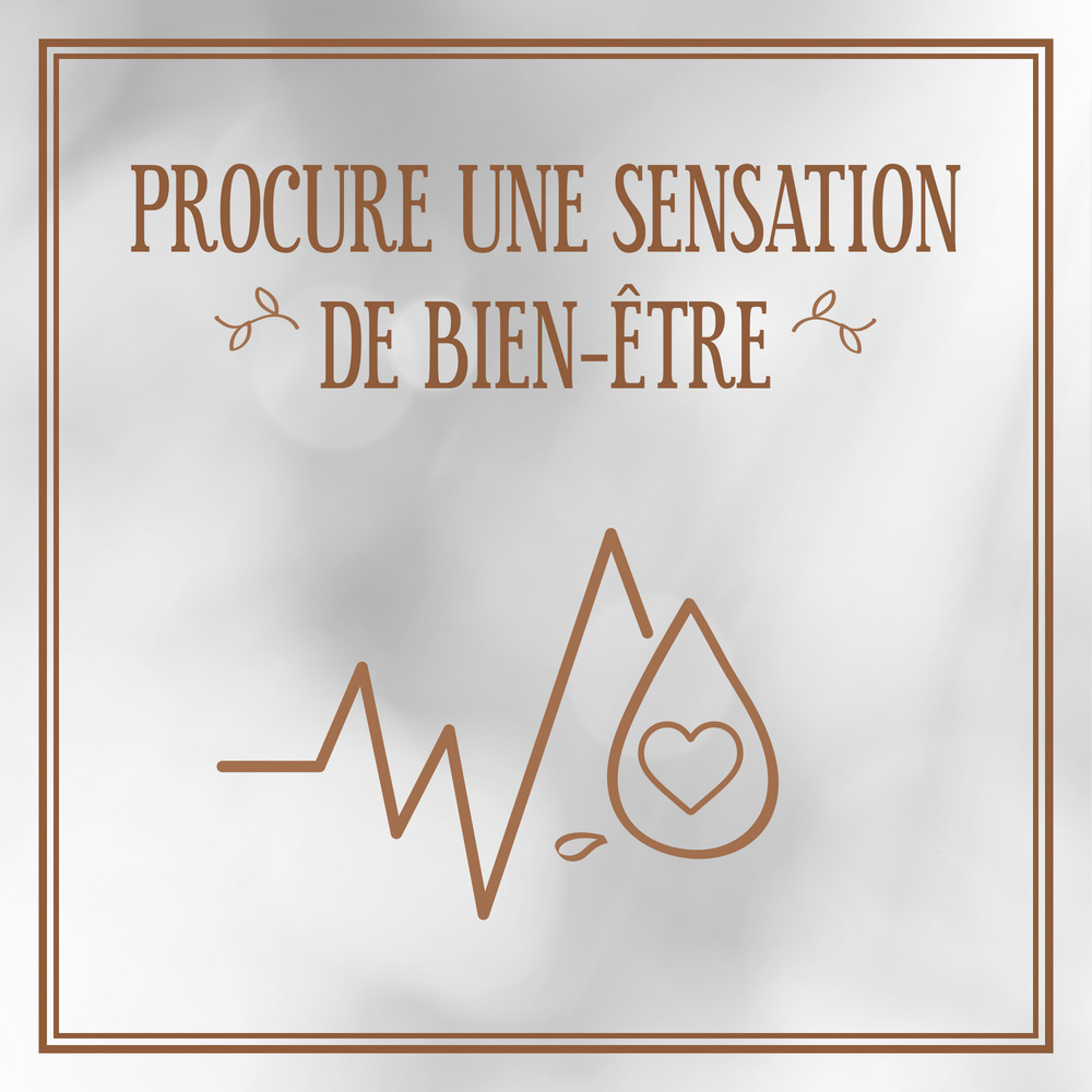 le petit marseillais Lait Corps Hydratant, Nutrition Intense, au Beurre de Cacao et Karité, 250ml Lait corps