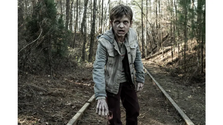 The Walking Dead - Staffel 11  [6 DVDs]