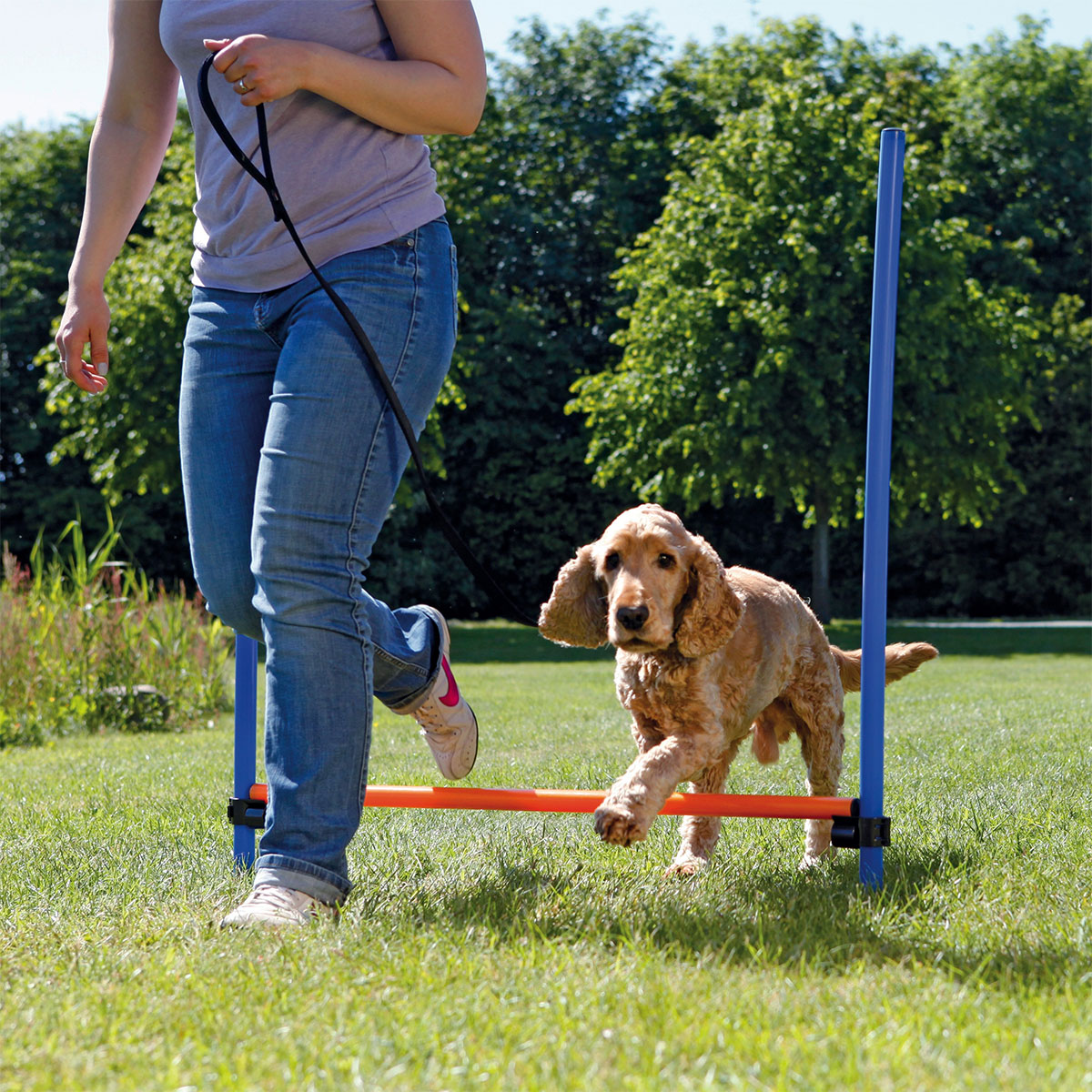 Trixie Dog Activity Agility Hürde günstig kaufen