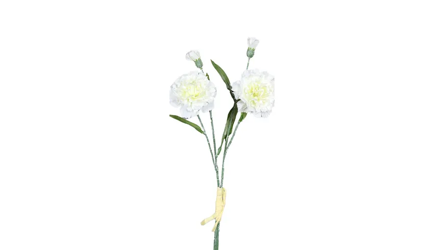 Nelkenbund creme