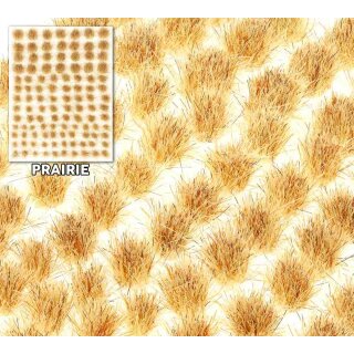 Prairie Tuft