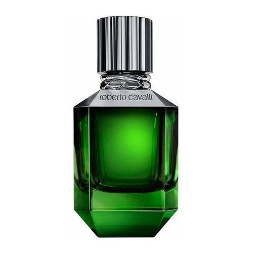 Roberto Cavalli Paradise Found For Men toaletní voda 75 ml