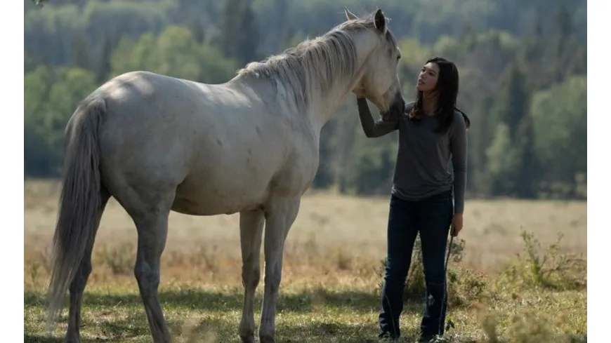 Heartland - Paradies für Pferde - Staffel 12 (Neuauflage)  [4 DVDs]