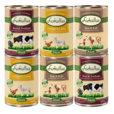 Lukullus Naturkost Getreidefreies Probierpaket 6 x 400 g