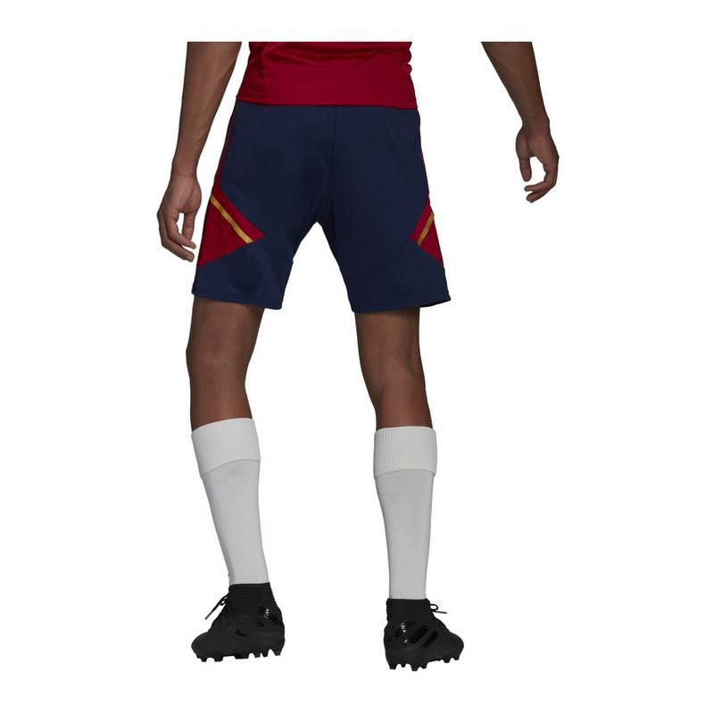 adidas Ajax Amsterdam Trainingsshort Fuballshorts Herren
