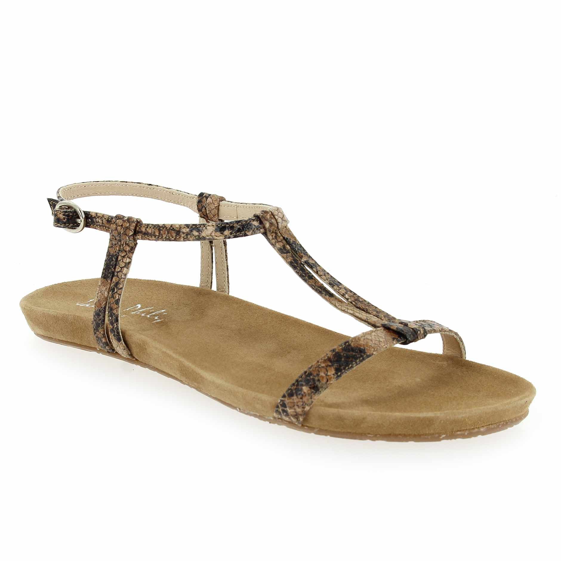 Janie Philip  HAWAI - Camel Python