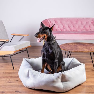 Modern Living Hundebett Alexandria