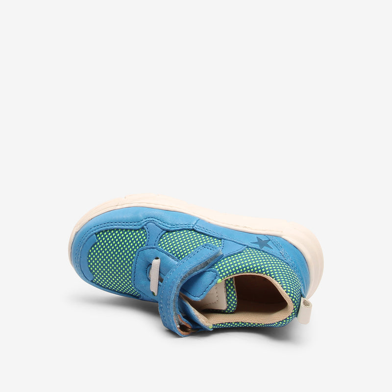 pax e cobalt - Blau