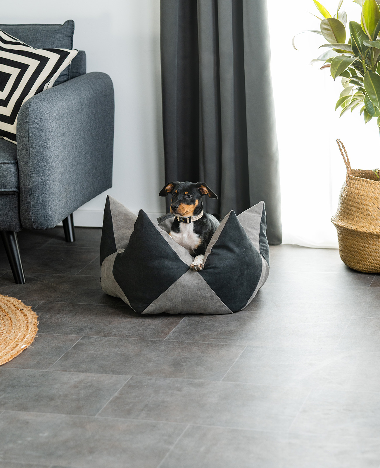 Lionto Hundebetten Lionto Hundebett - Kronenkissen grau/ schwarz S