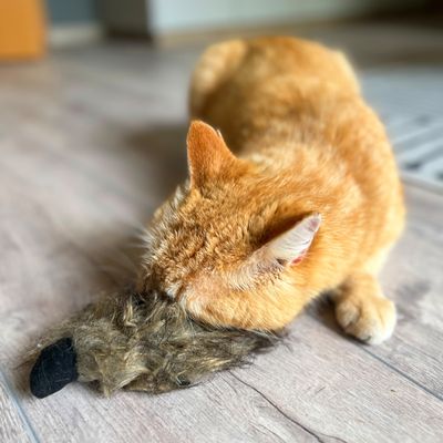 Aumüller Katzenspielzeug Frettchen