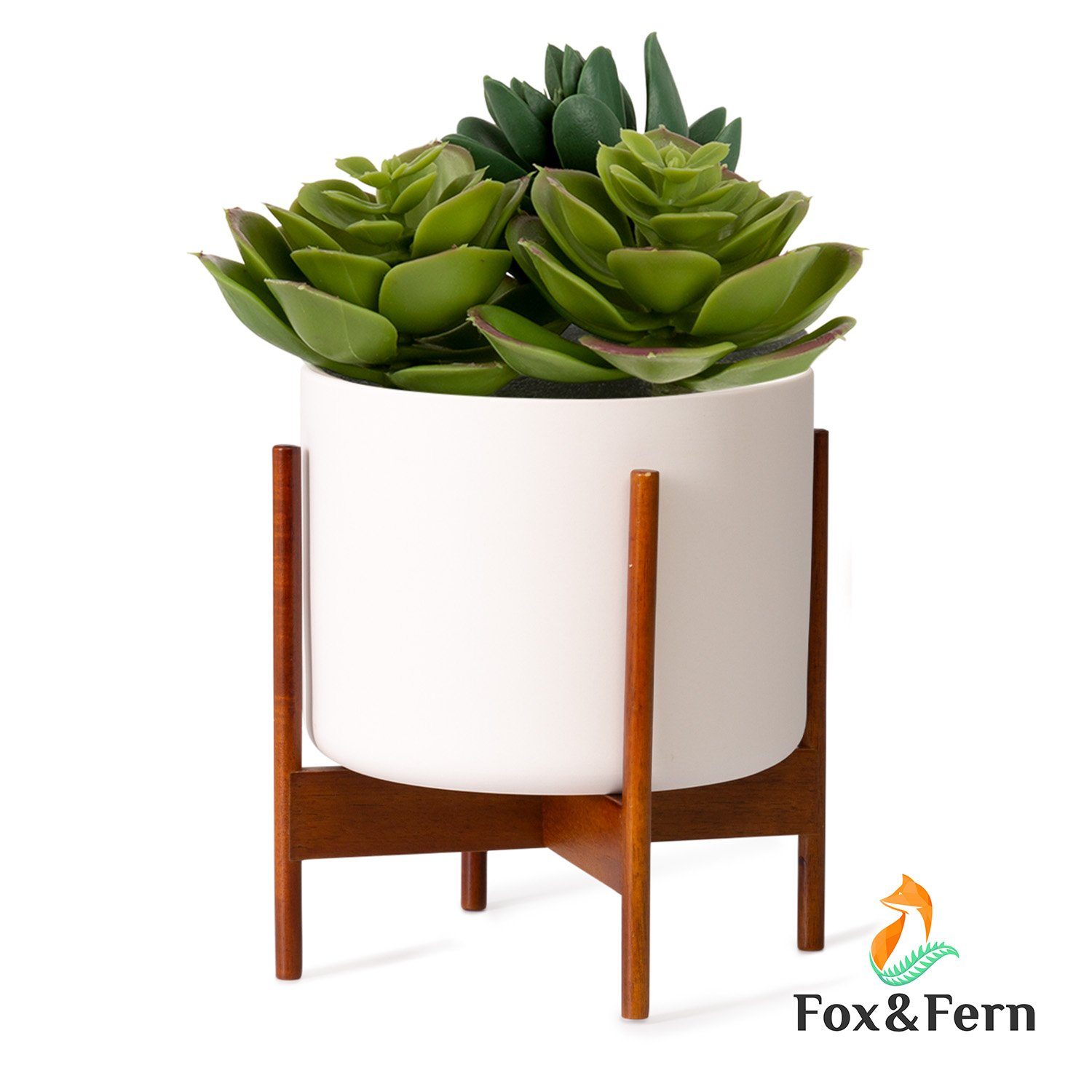 Fox & Fern Hochbeet Thorn