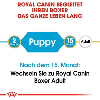 Royal Canin Boxer Puppy