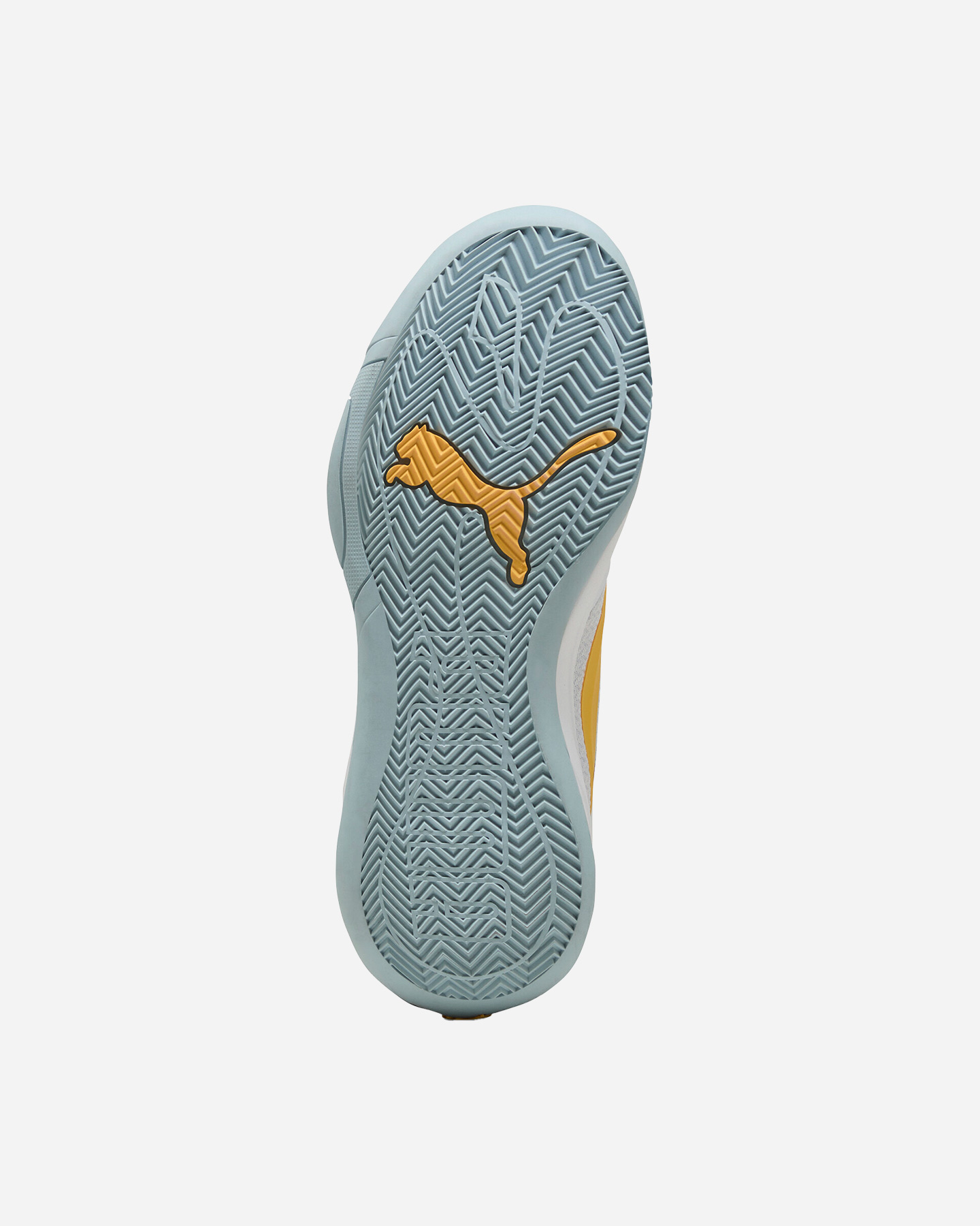 Buty do koszykówki Scarpe Puma Court Pro M 310829-05
