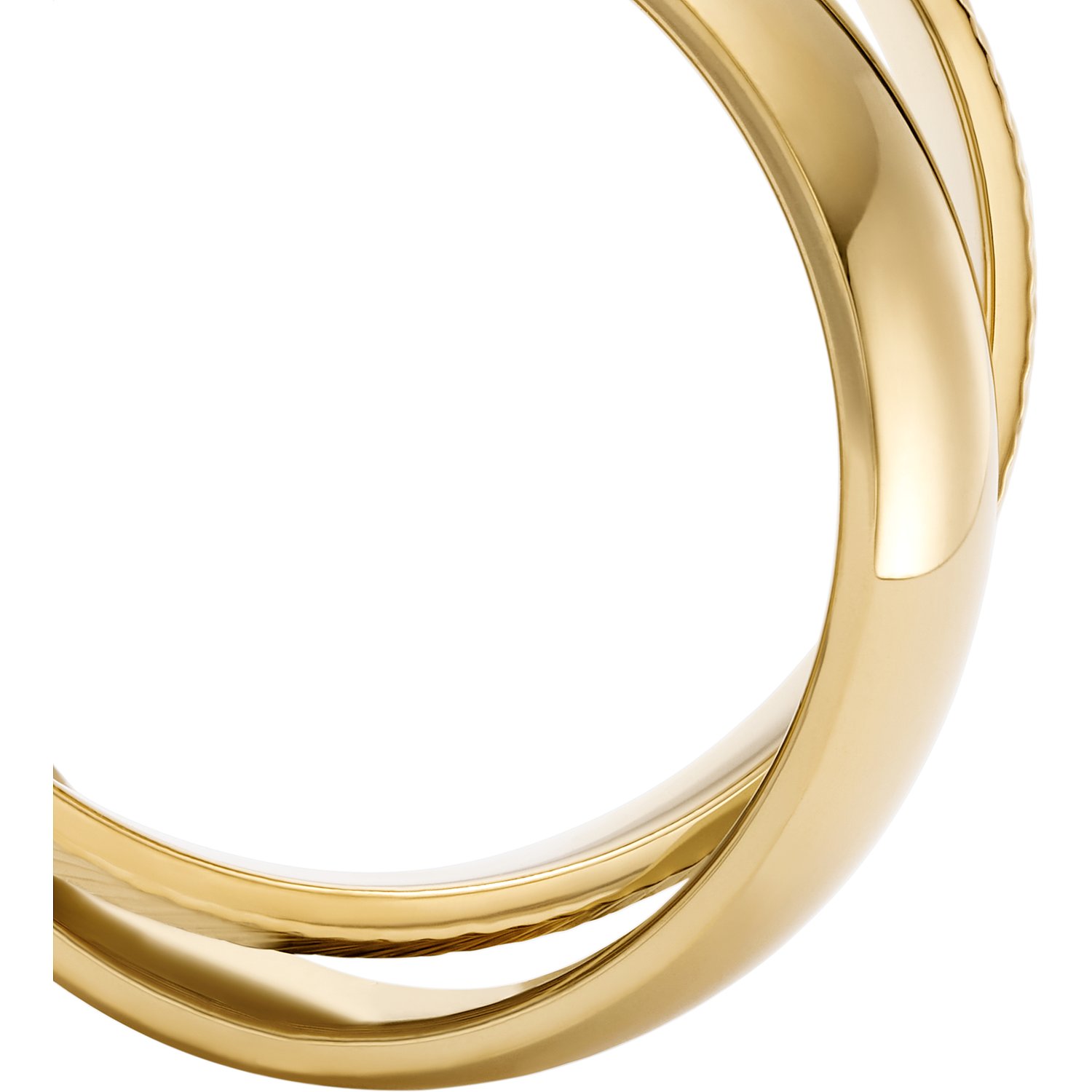 Anillos de oro fosil
