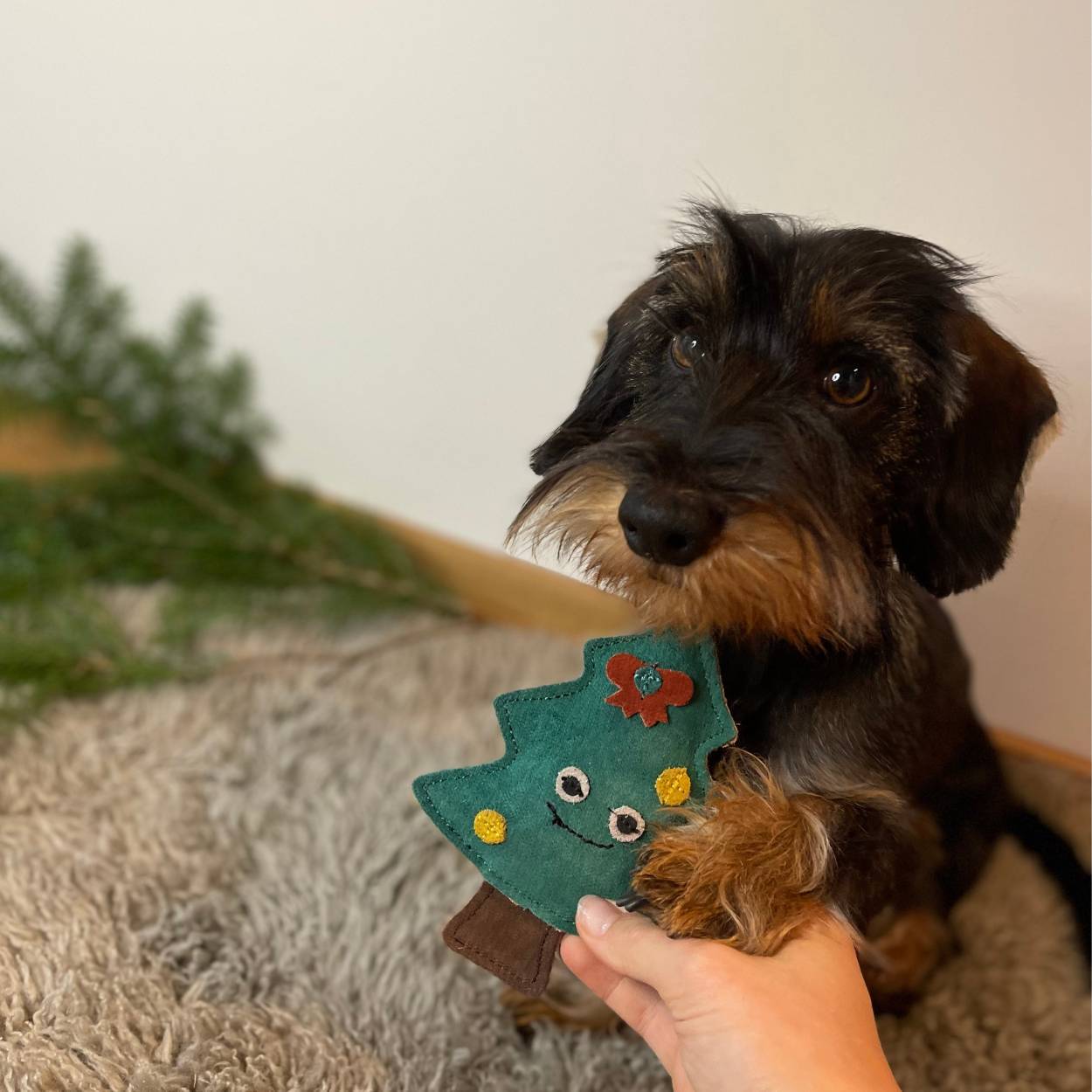 ChronoBalance Kauspielzeug ChronoBalance Weihnachtsbaum Spielzeug aus Leder