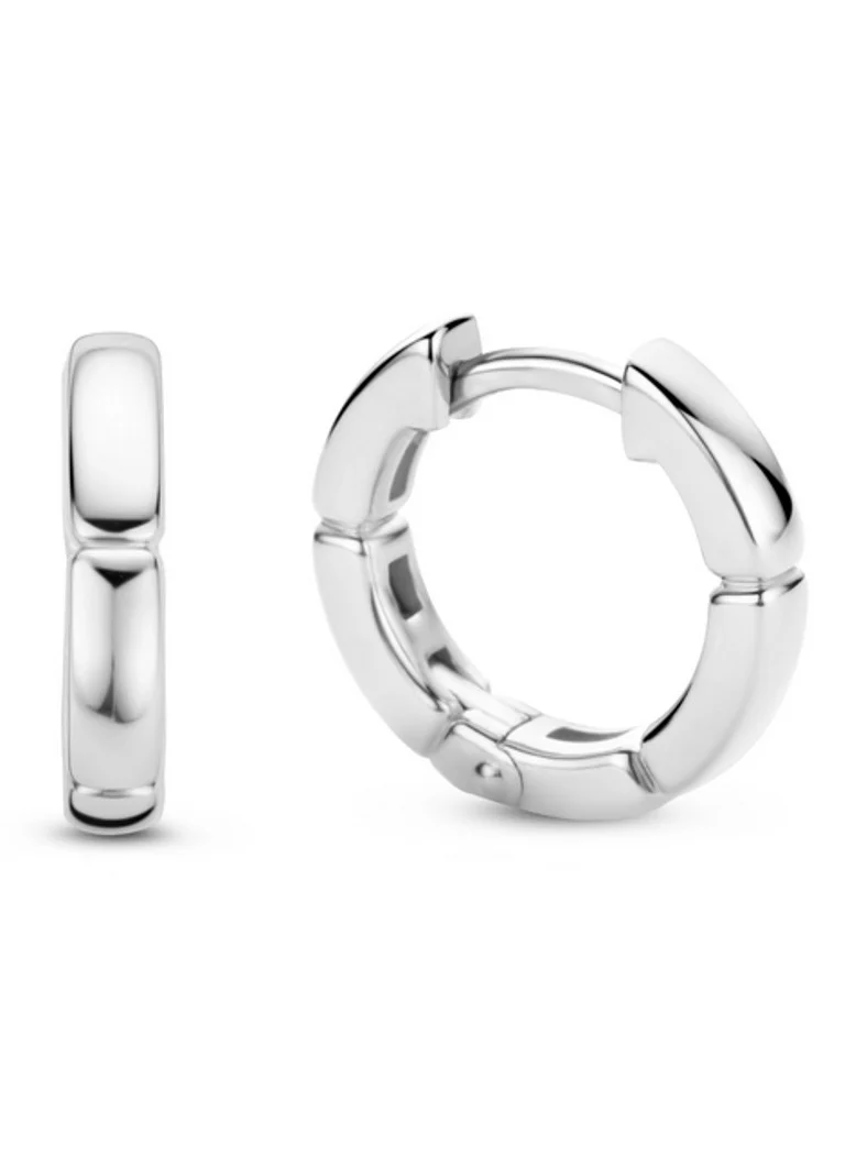 TI SENTO - Milano Silver Earrings 7889SI