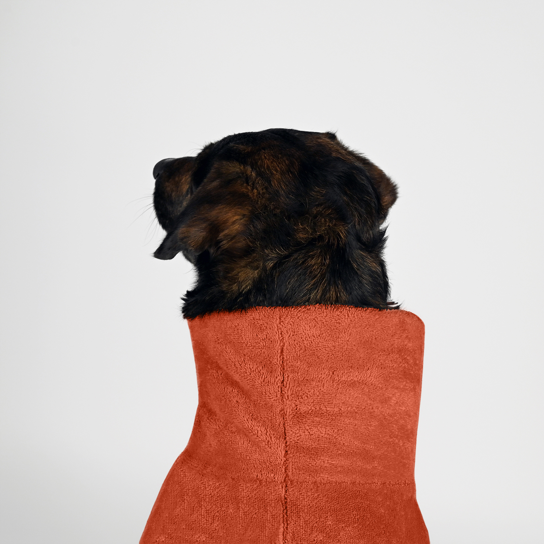 THE DOG IDEA Hundemäntel THE DOG IDEA Bademantel Every Steinrot S
