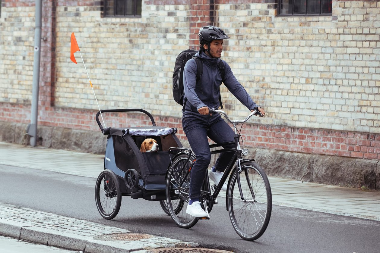 Thule Courier - Pet Accessory