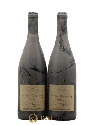 Saumur-Champigny Les Poyeux Antoine Sanzay  2015 - Lot de 2 Bouteilles