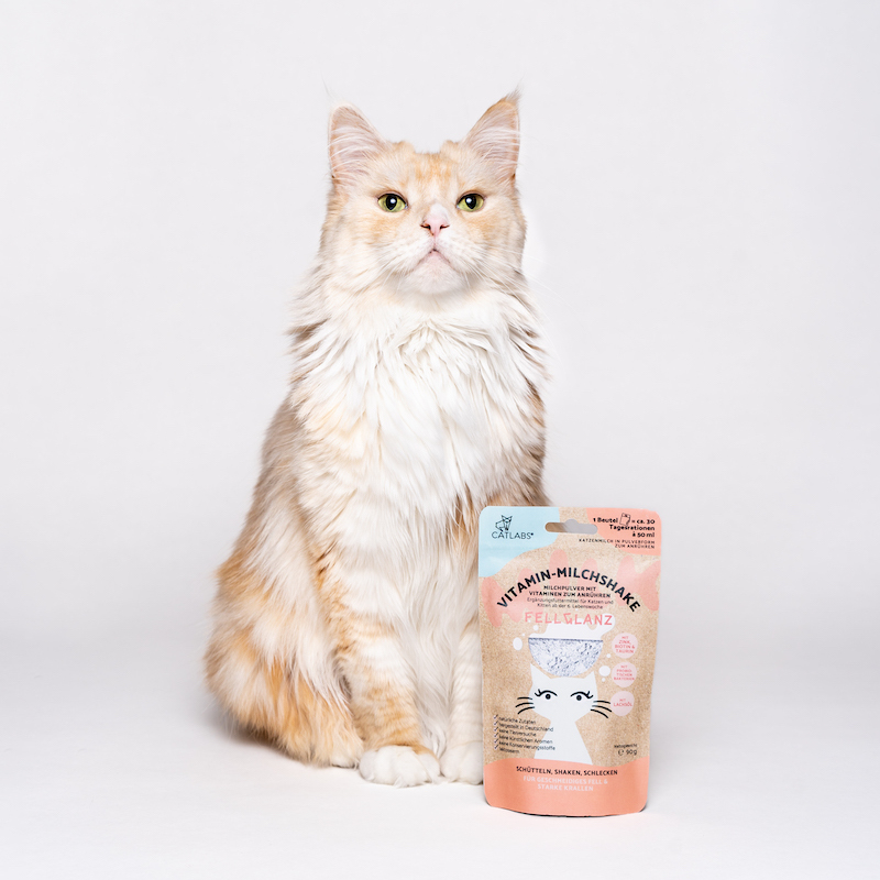 Catlab Katzenmilch & Getränke Catlab Vitamin-Milchshake für Katzen Fellglanz