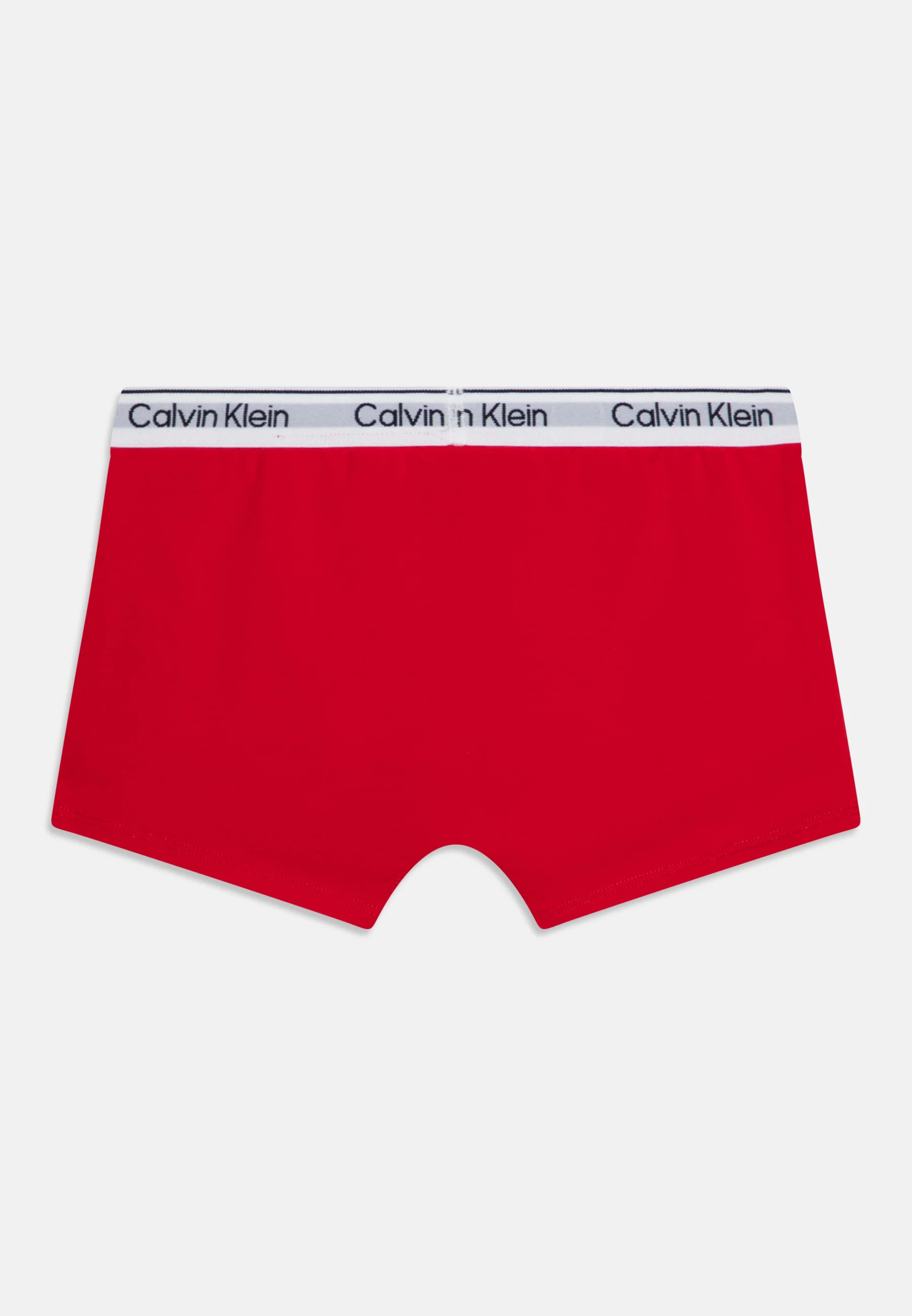 Calvin Klein Underwear TRUNK PACK DE 2 - Culotte