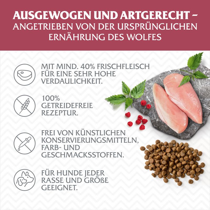 Wolf of Wilderness 'Ruby Midnight' - Rind & Kaninchen